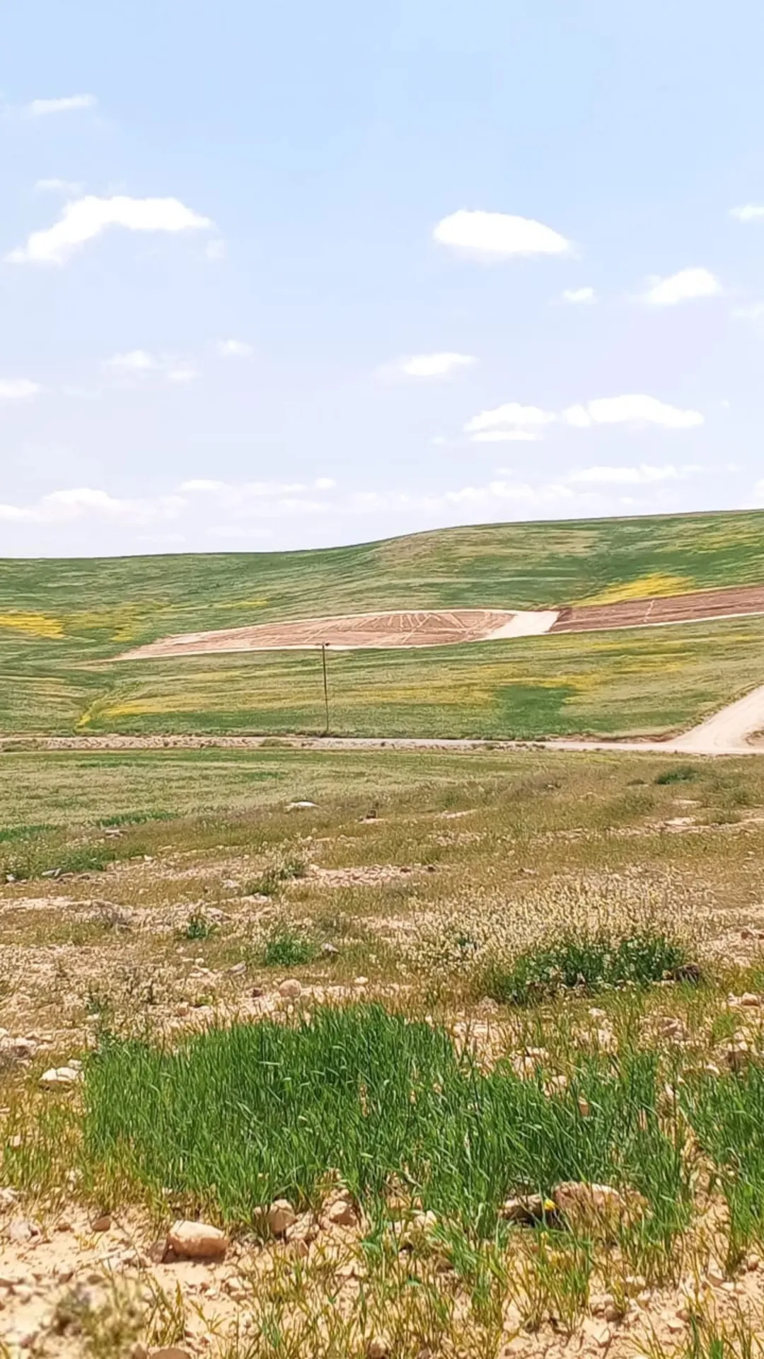 أراضي فاخرة في شارع الميه زملة العليا