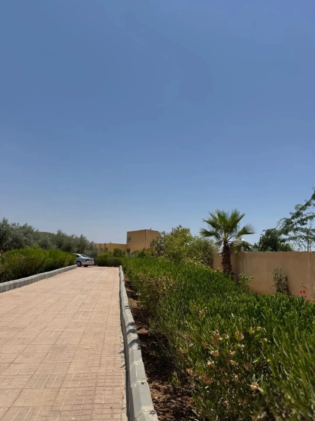 مزرعة فاخرة للبيع في الرامة منطقة النهضة