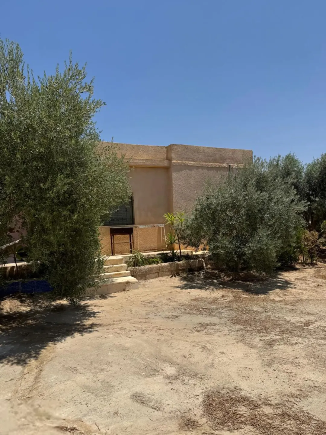 مزرعة فاخرة للبيع في الرامة منطقة النهضة