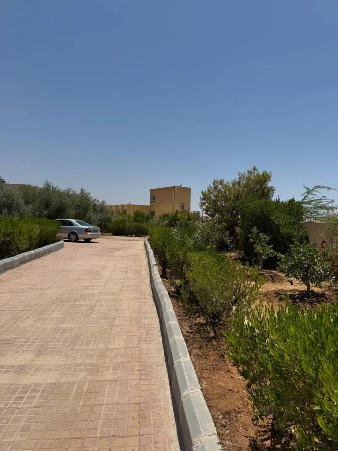 مزرعة فاخرة للبيع في الرامة منطقة النهضة