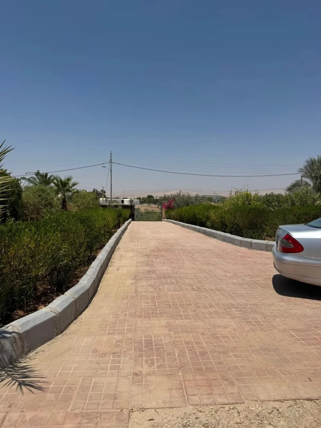 مزرعة فاخرة للبيع في الرامة منطقة النهضة