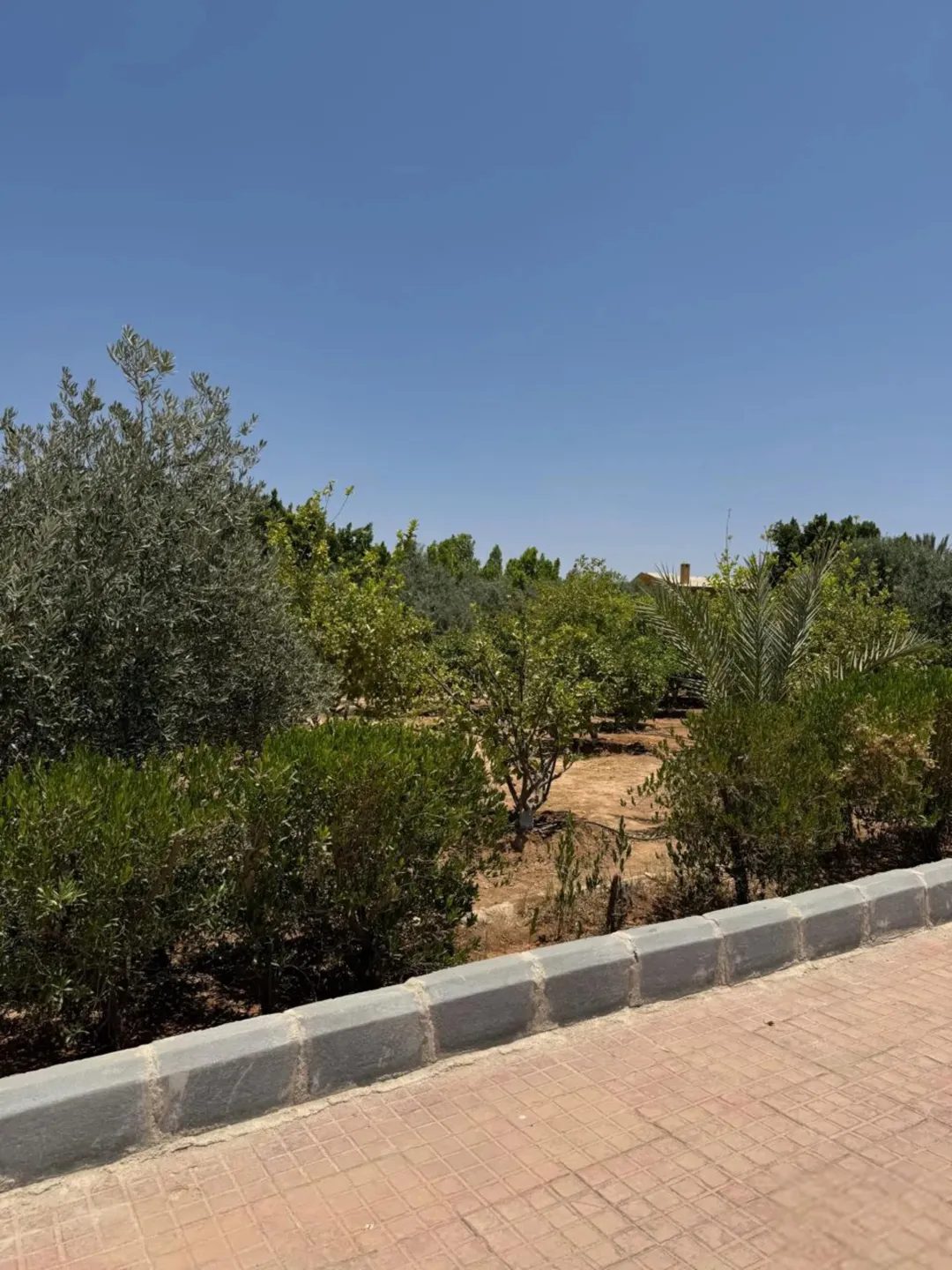 مزرعة فاخرة للبيع في الرامة منطقة النهضة