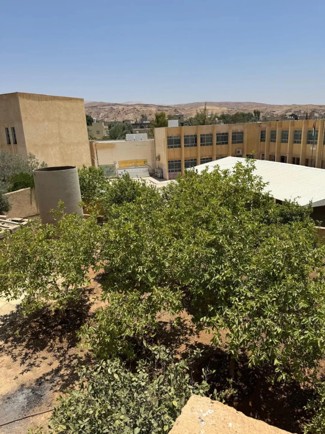 مزرعة فاخرة للبيع في الرامة منطقة النهضة