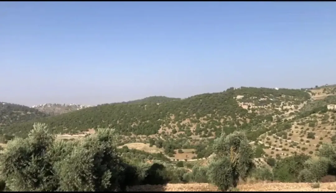 قطعة أرض للبيع في قرية سوف جرش
