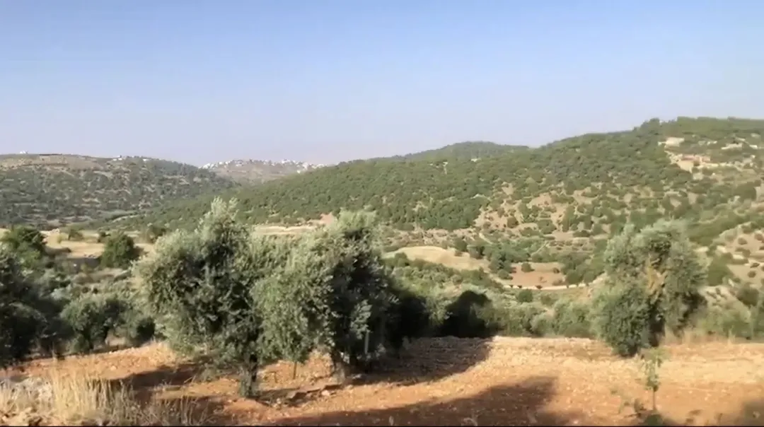 قطعة أرض للبيع في قرية سوف جرش