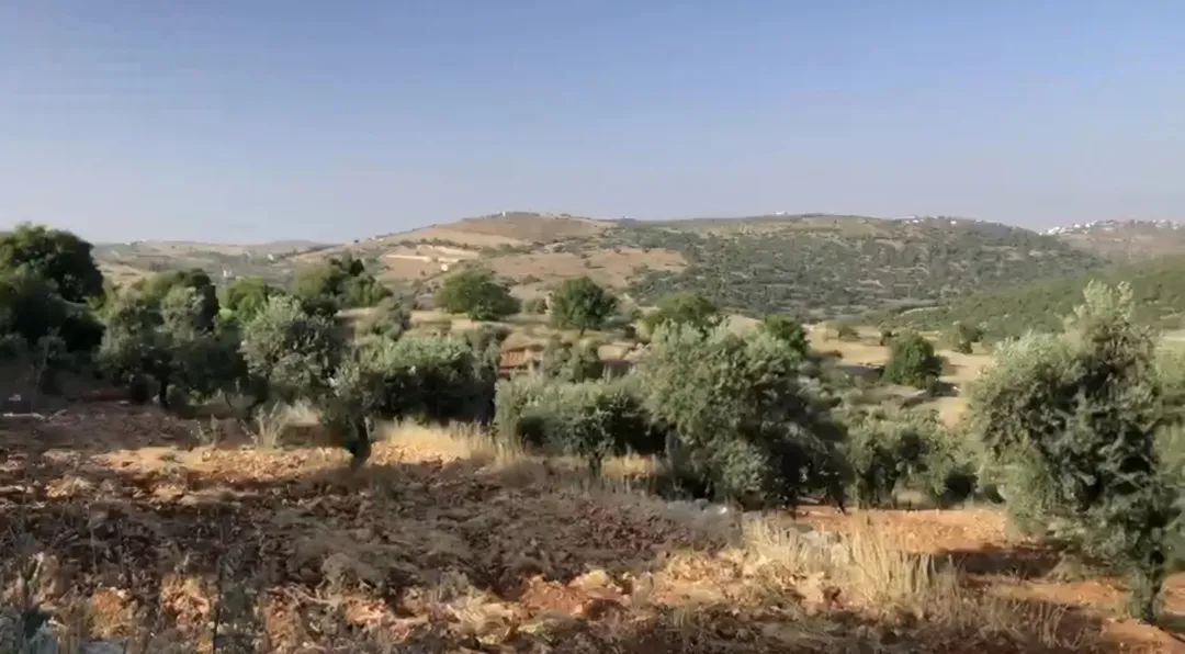 قطعة أرض للبيع في قرية سوف جرش