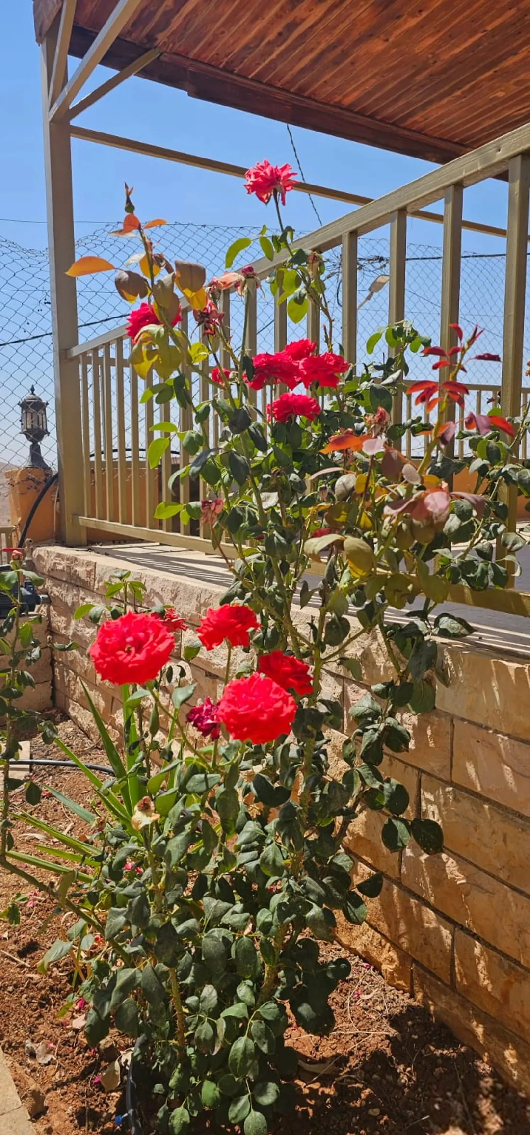 مزرعة مع مسبح للبيع