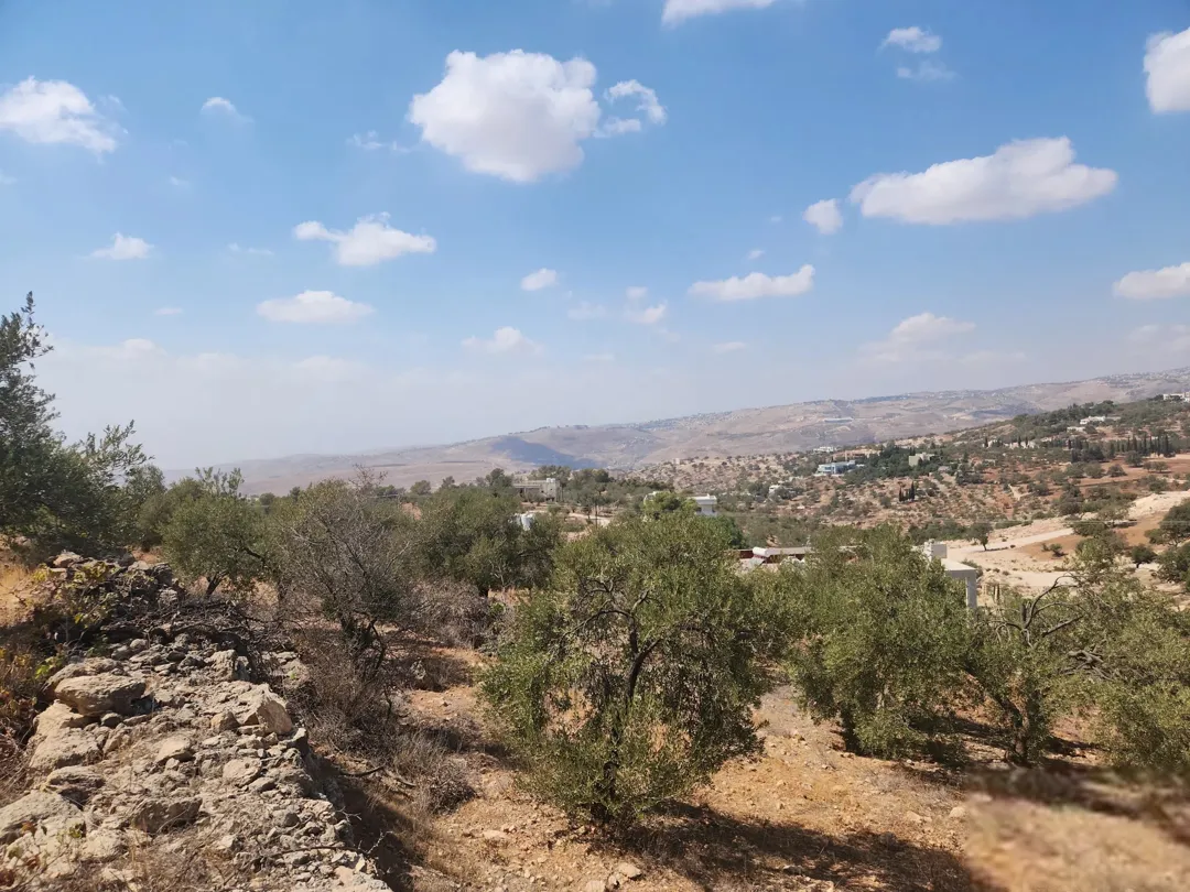 الكاشف بدر الجديده أجمل مناطق عمان الغربية