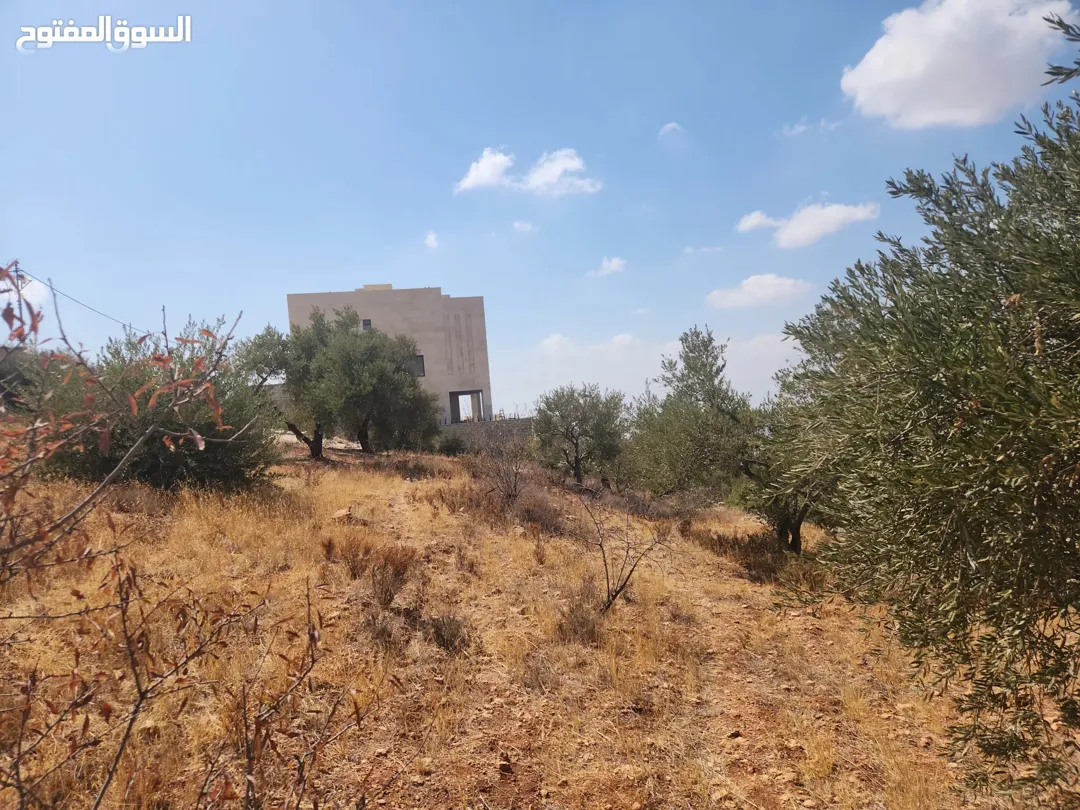 الكاشف بدر الجديده أجمل مناطق عمان الغربية