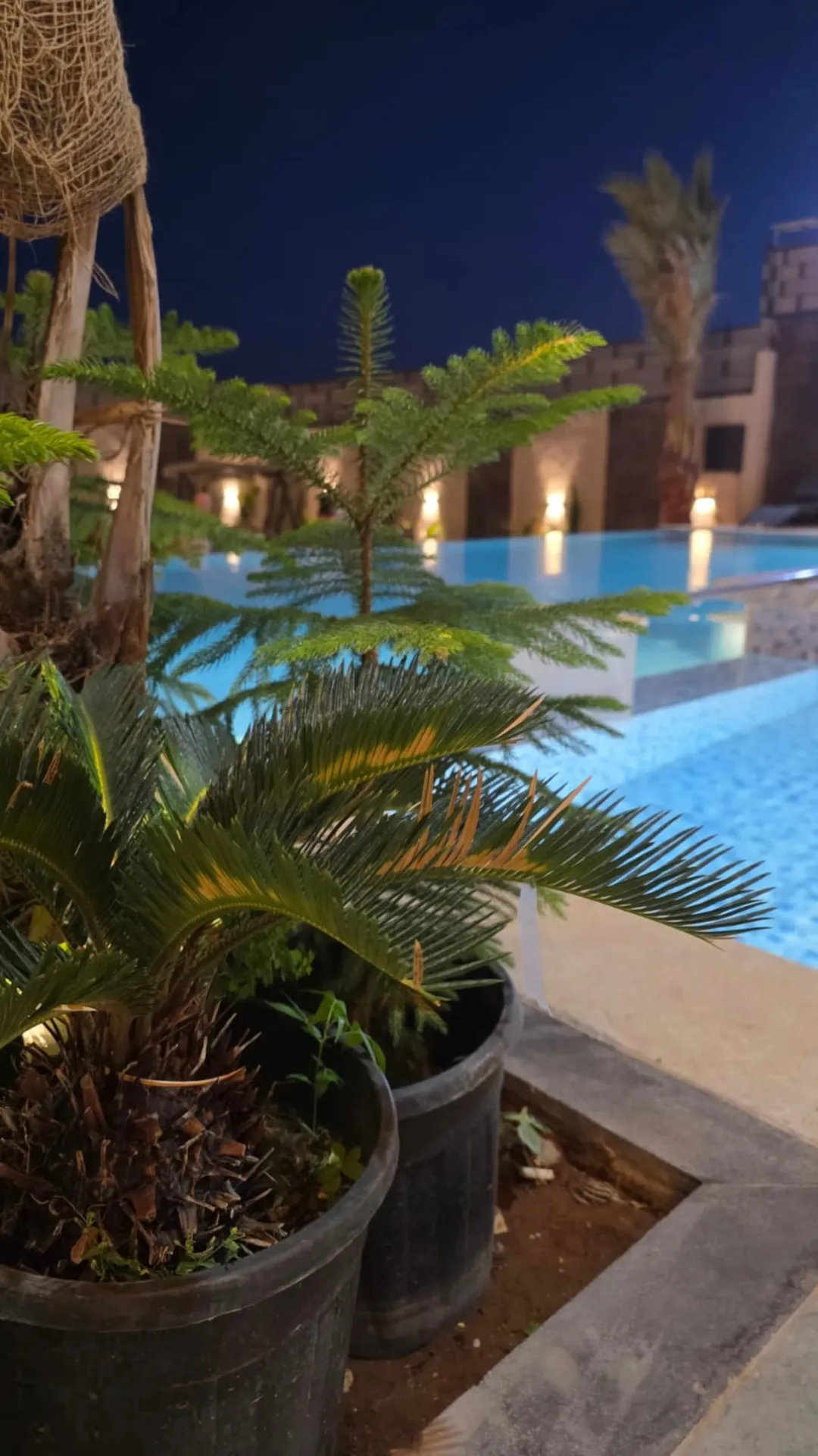 شاليه فاخر جديد للبيع في الغور – النمرين