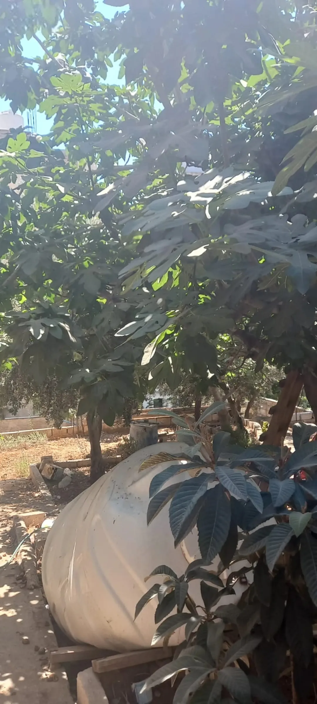 منزل للبيع في حي نزال مكون من ثلاث طوابق