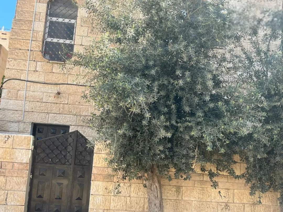 عماره 3 طوابق كوشان مستقل