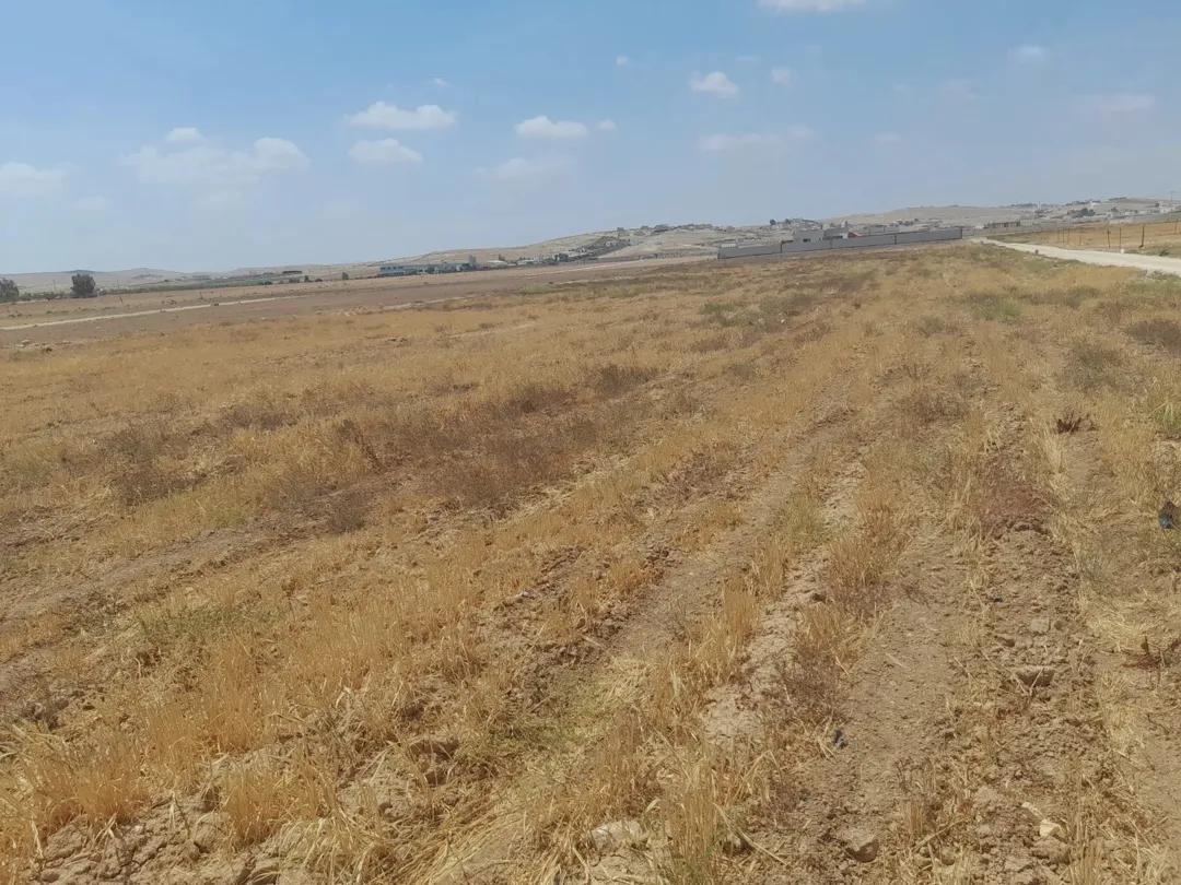 أرض زراعية للبيع في بلعما – الخربة السمراء، محافظة المفرق