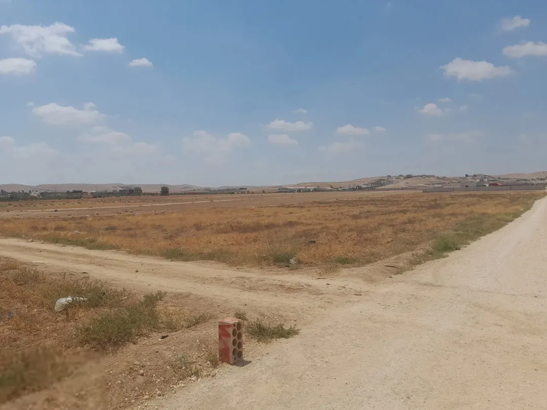 أرض زراعية للبيع في بلعما – الخربة السمراء، محافظة المفرق