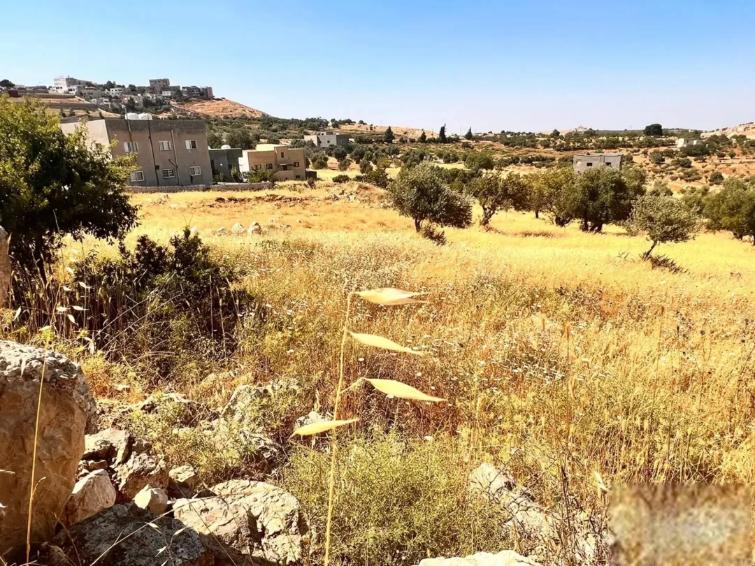 قطعة أرض خصبة في حوض المشماس