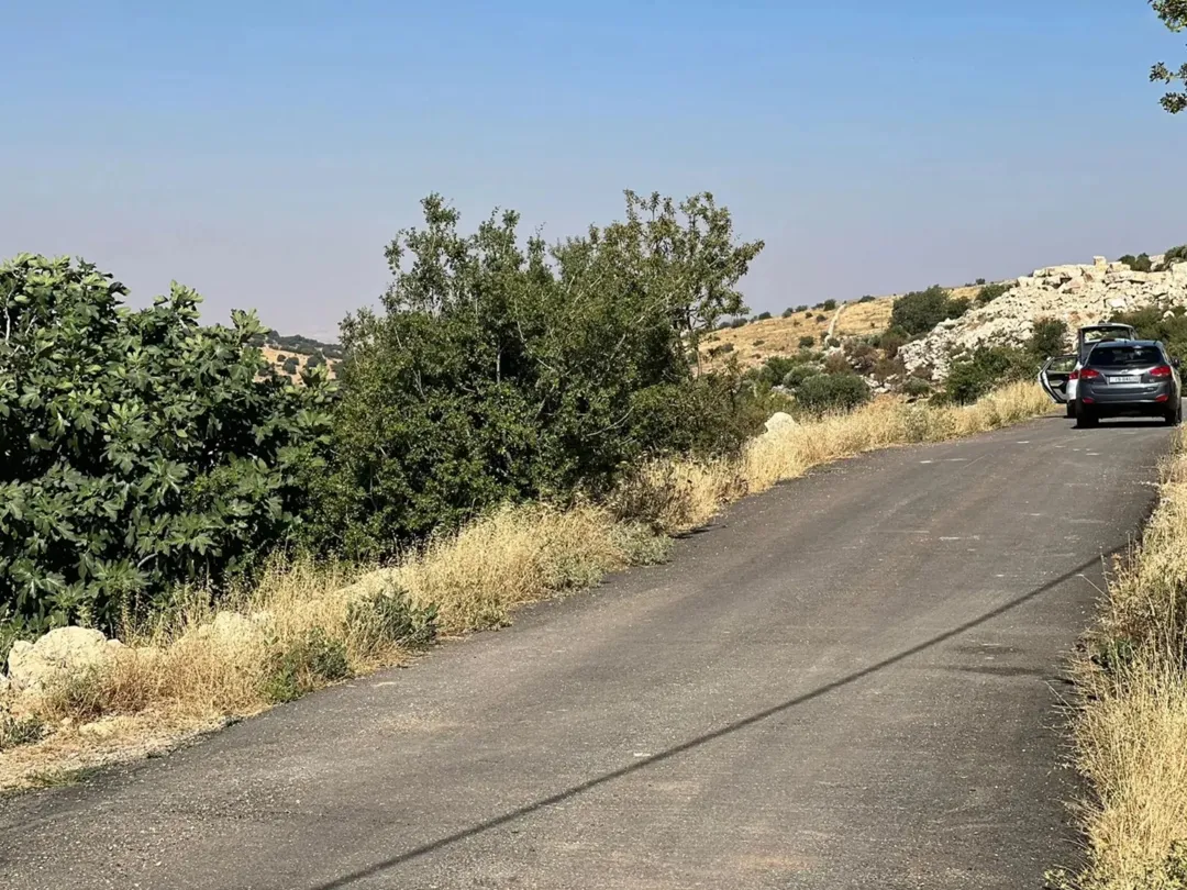 قطعة أرض خصبة في حوض المشماس