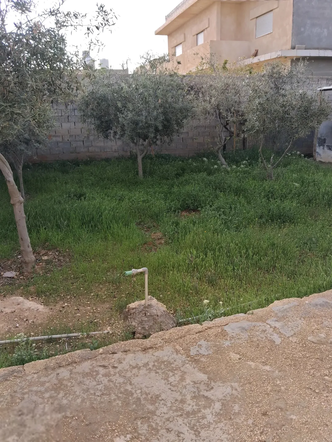 أربع بيوت للبيع بسعر مغري