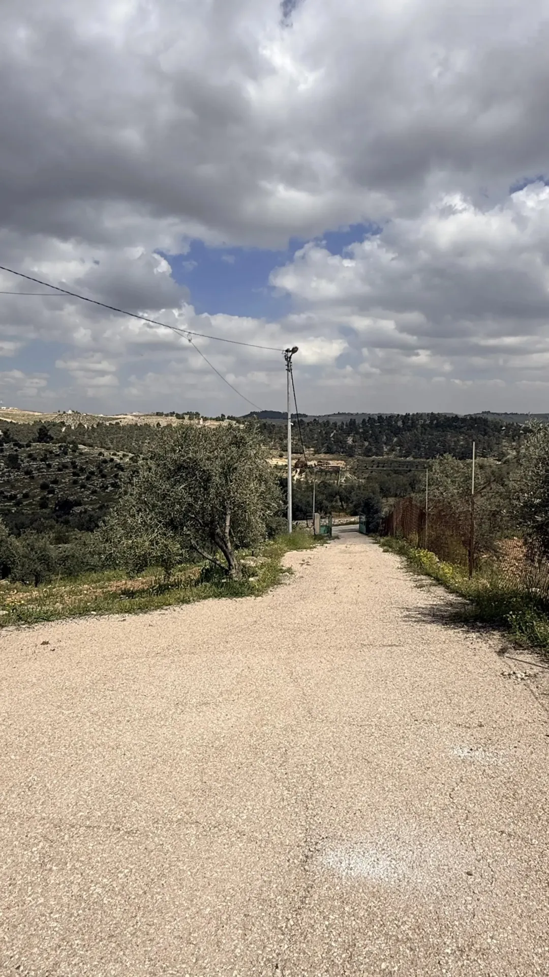 مزرعة نموذجية جاهزة للبيع في شرق جرش دحل – 18 دونم مشجرة زيتون