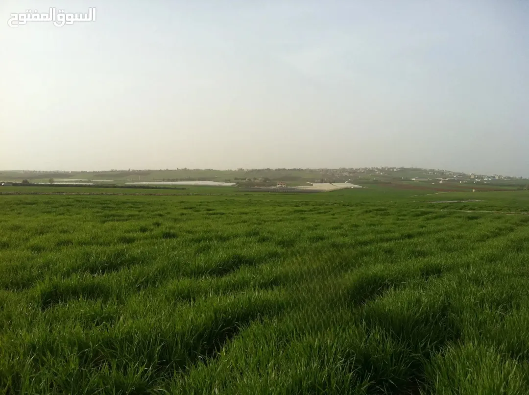 أرض للبيع في جنوب عمان – طريق المطار بالقرب من كينغز أكاديمي