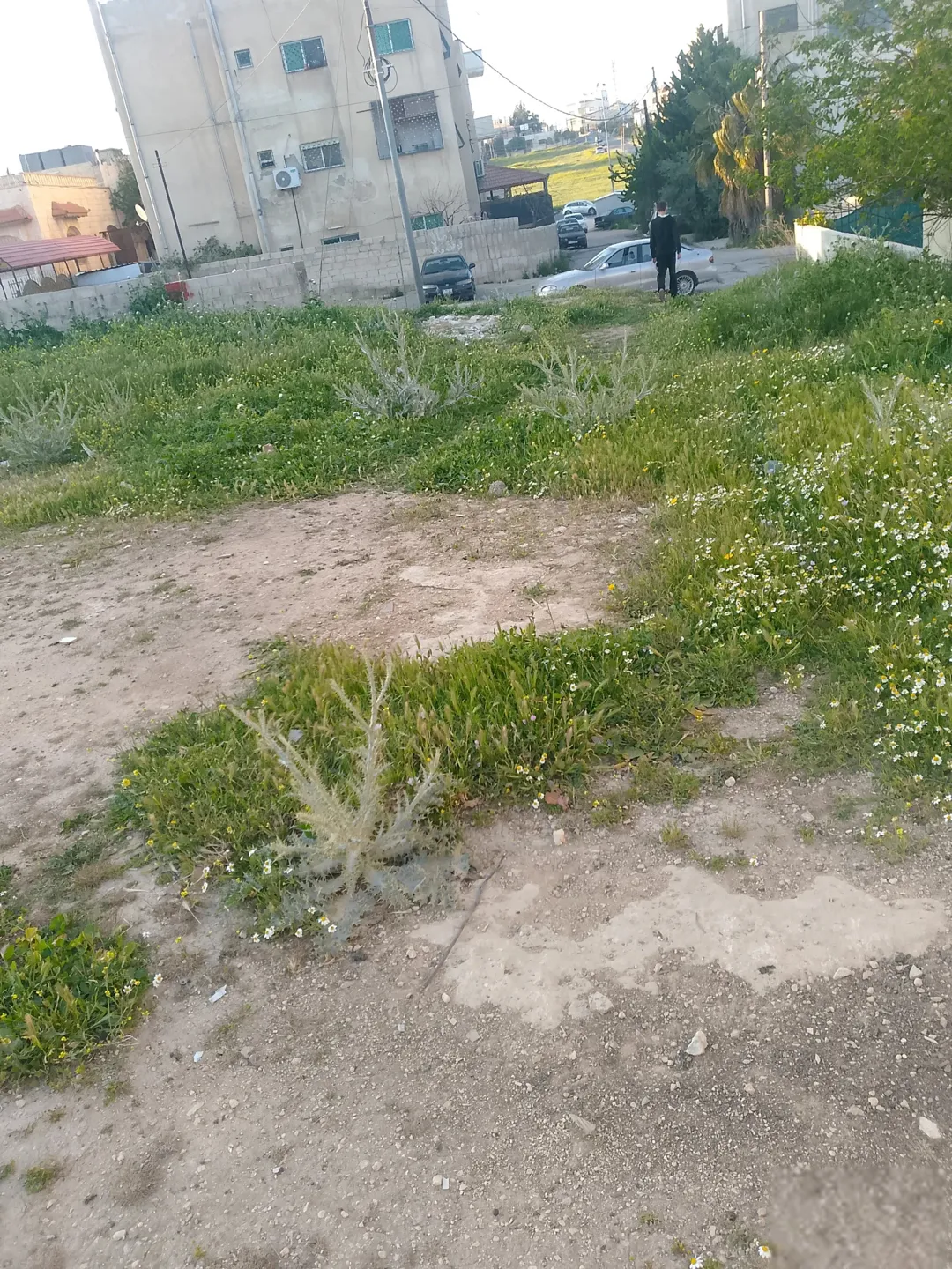 أرض سكنية مميزة للبيع في أبو علندا