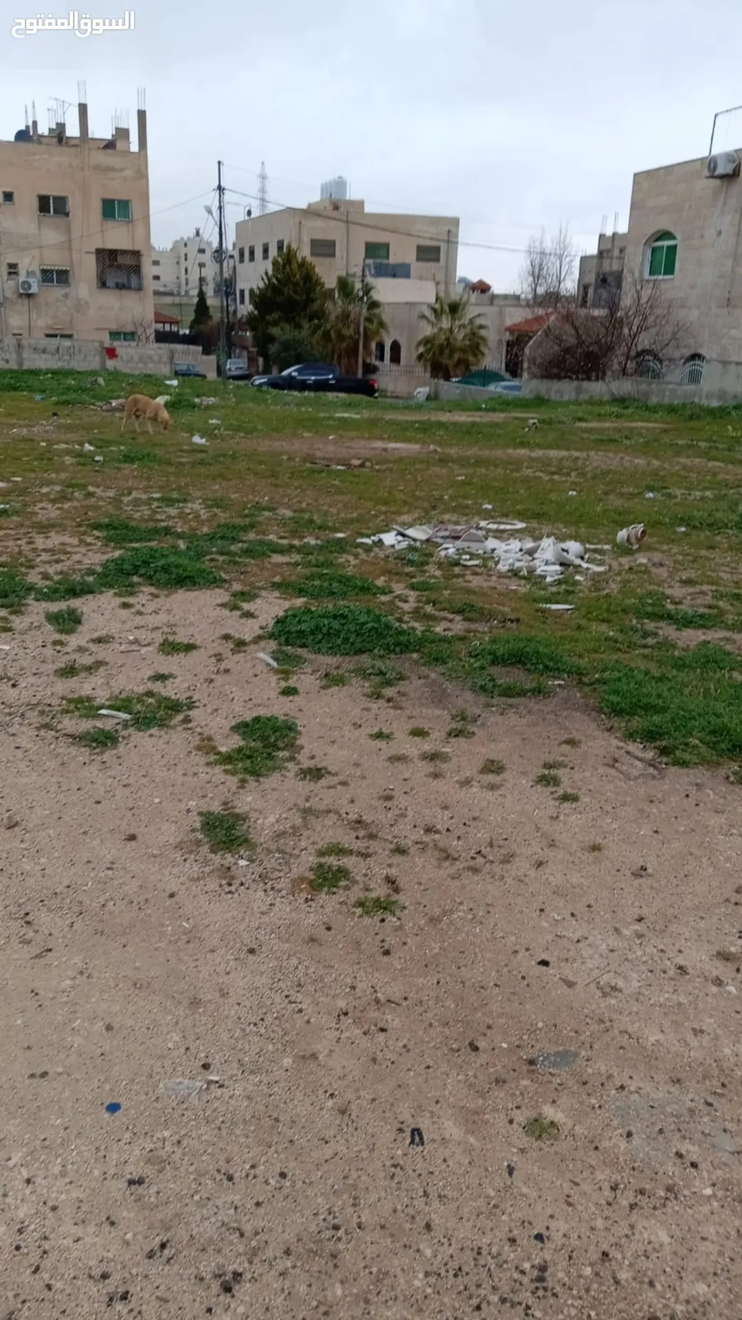 أرض سكنية مميزة للبيع في أبو علندا