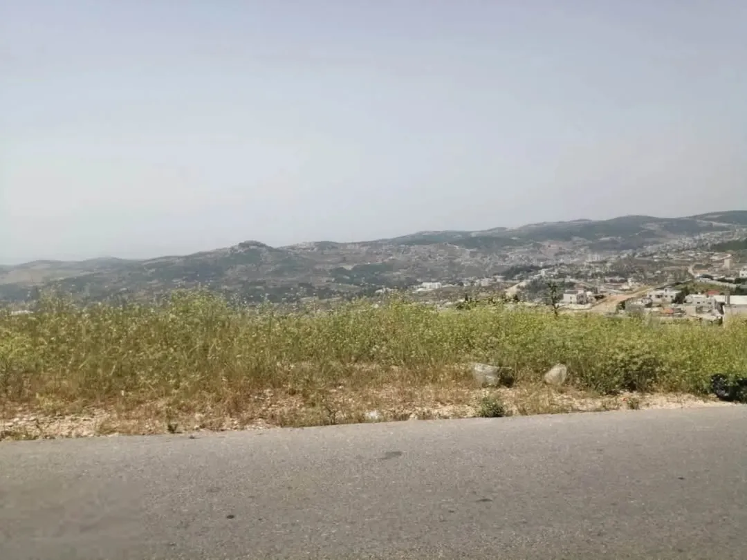 عجلون عنجرة 2 دونم بالزيزفونة