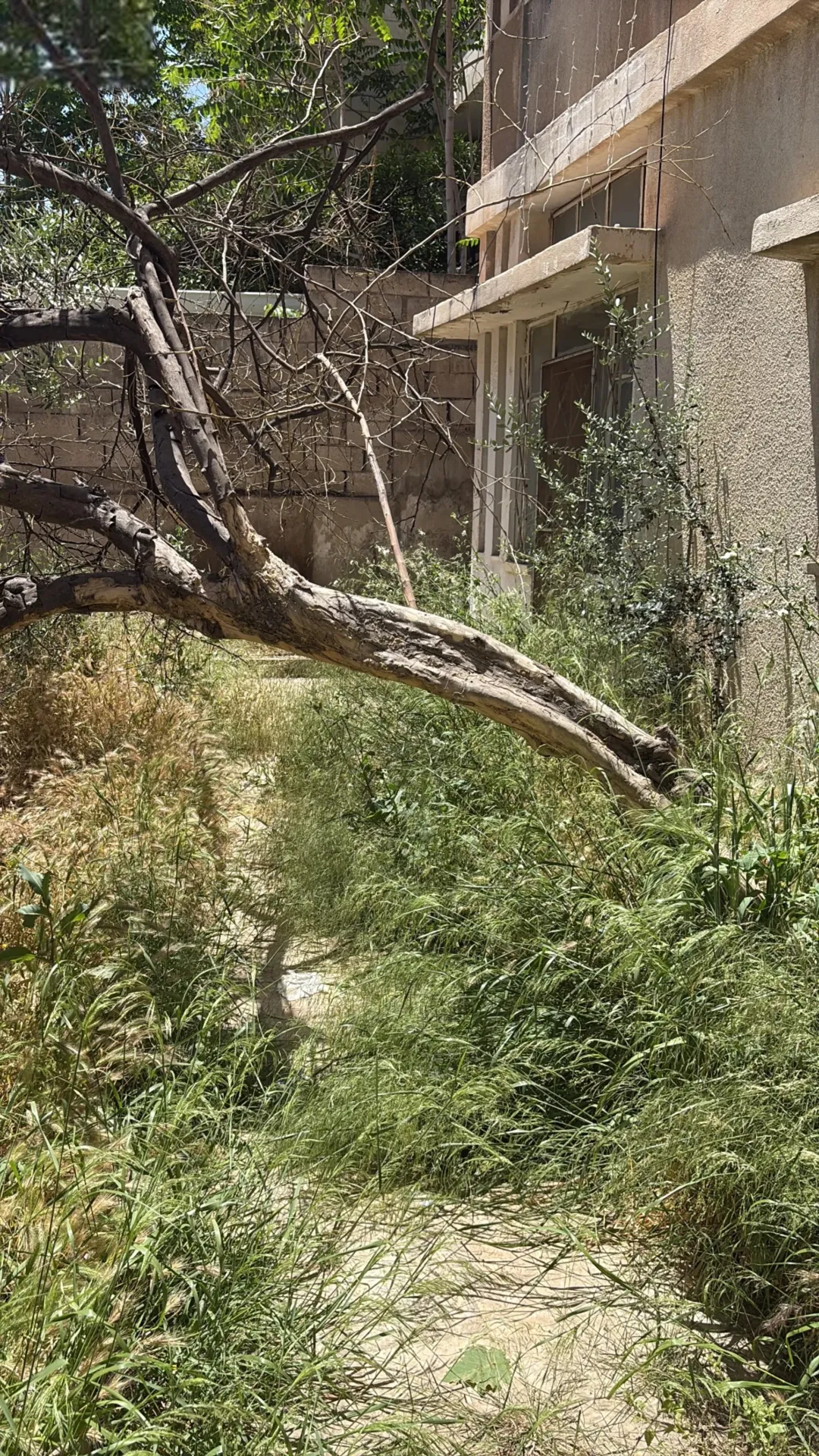 ارض مع عماره سكنيه للبيع في منطقة ماركا حوض الونانات 2
