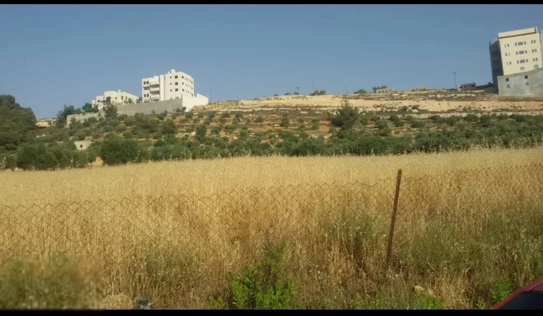 أرض للبيع في ناعور – العويلية بمساحة 928 متر مربع سكن أ