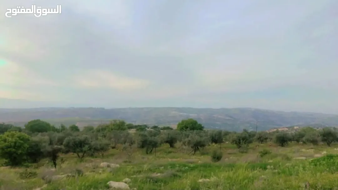 أرض سكنية رائعة للبيع في بدر الجديدة – حوض أم عبهره