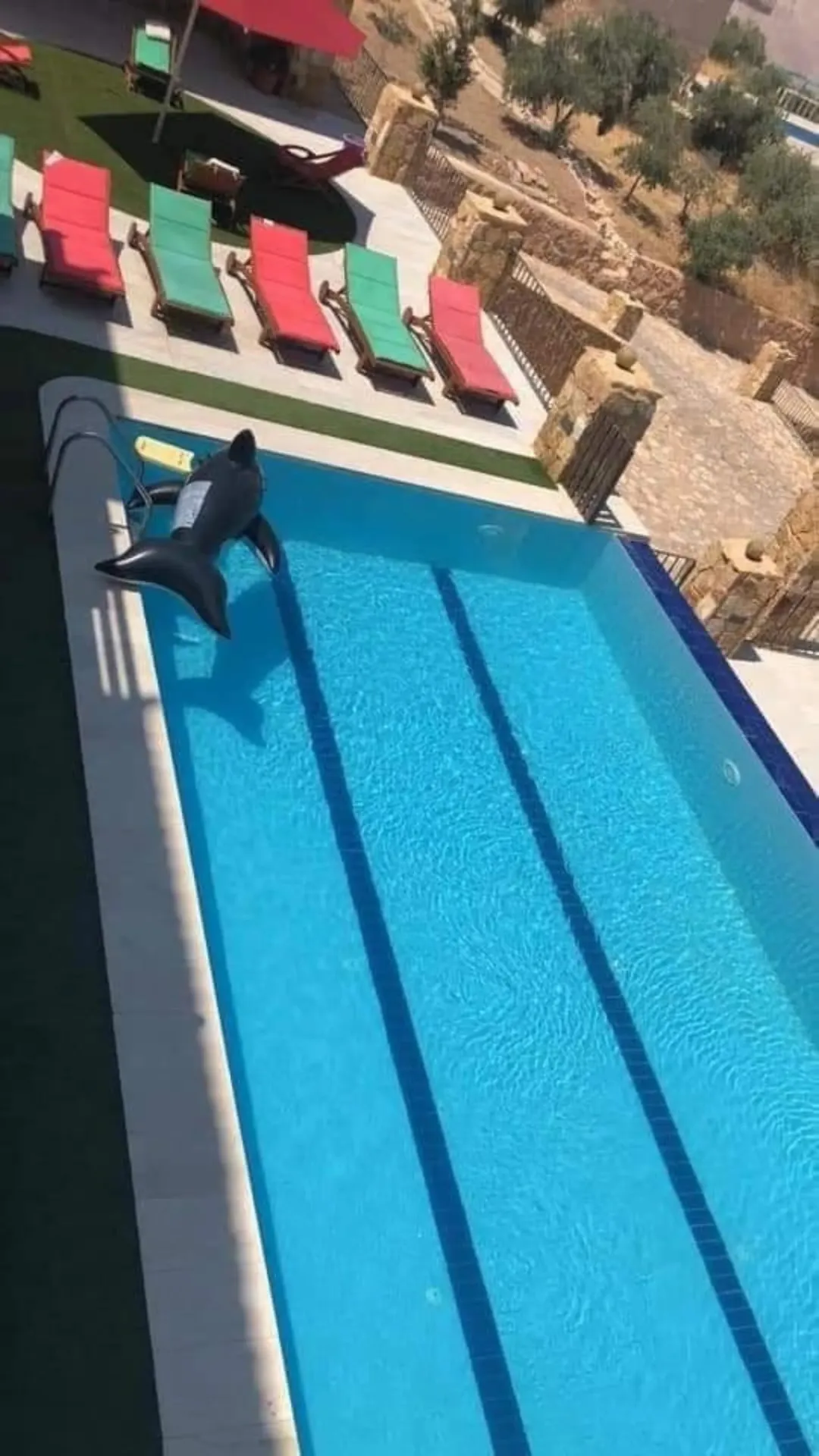 مزرعة فاخرة و ذات اطلالة للبيع