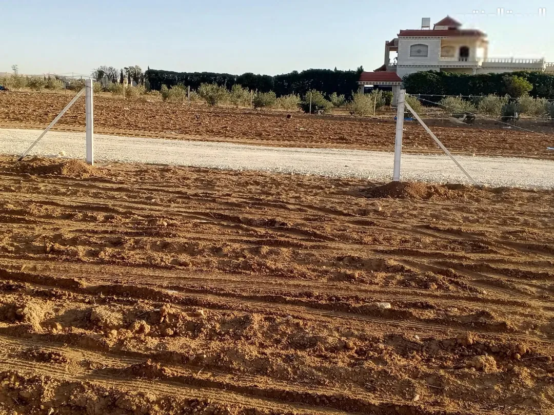 أرض مميزة للبيع في الرمثا الشرقية – محافظة إربد