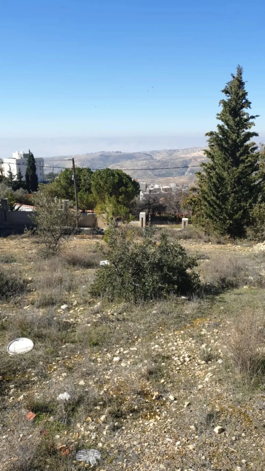 ارض للبيع بالحديب /بدر الجديده