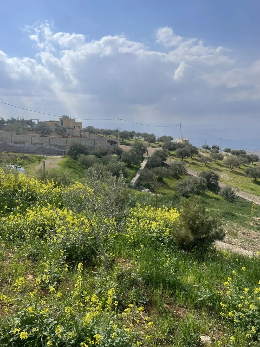 مزرعة 4 دونمات للبيع في مغاريب السلط بإطلالة على فلسطين