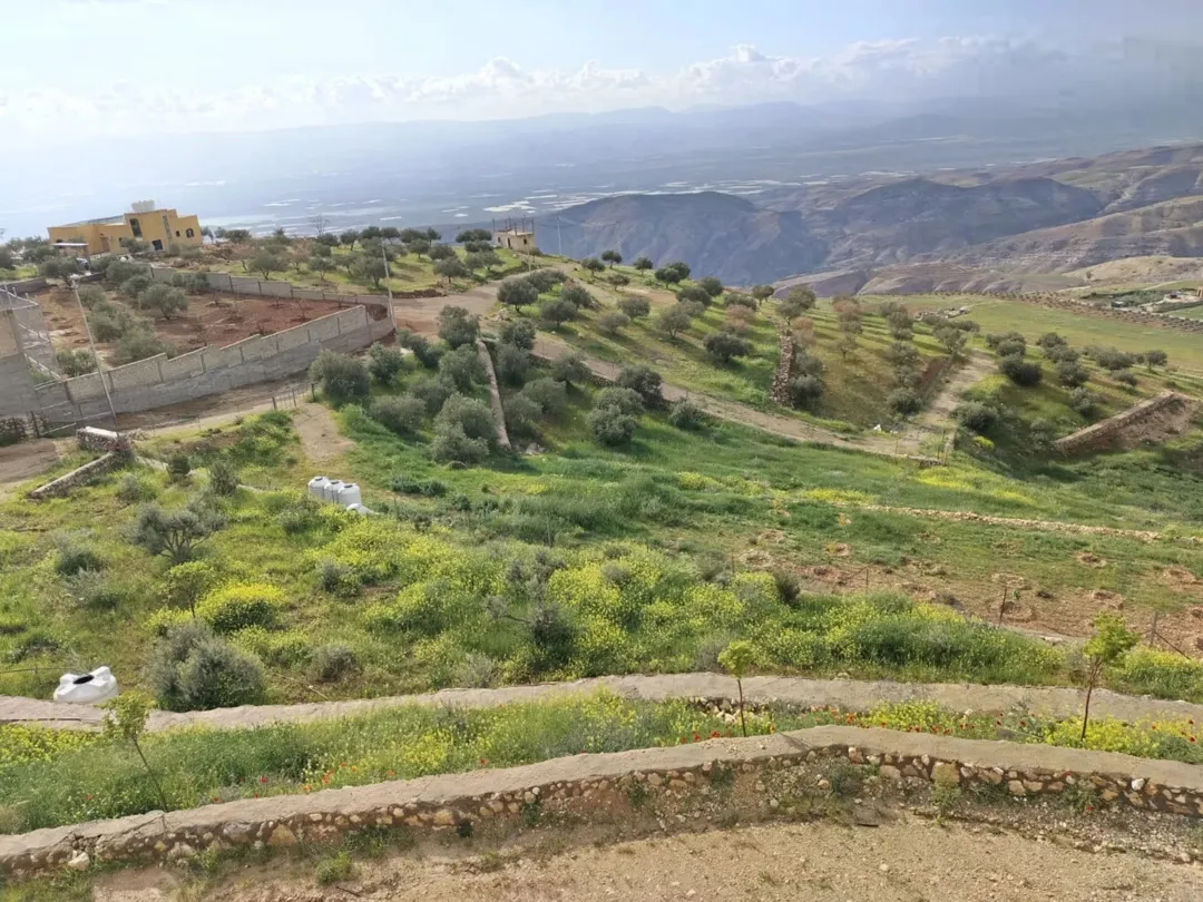 مزرعة 4 دونمات للبيع في مغاريب السلط بإطلالة على فلسطين