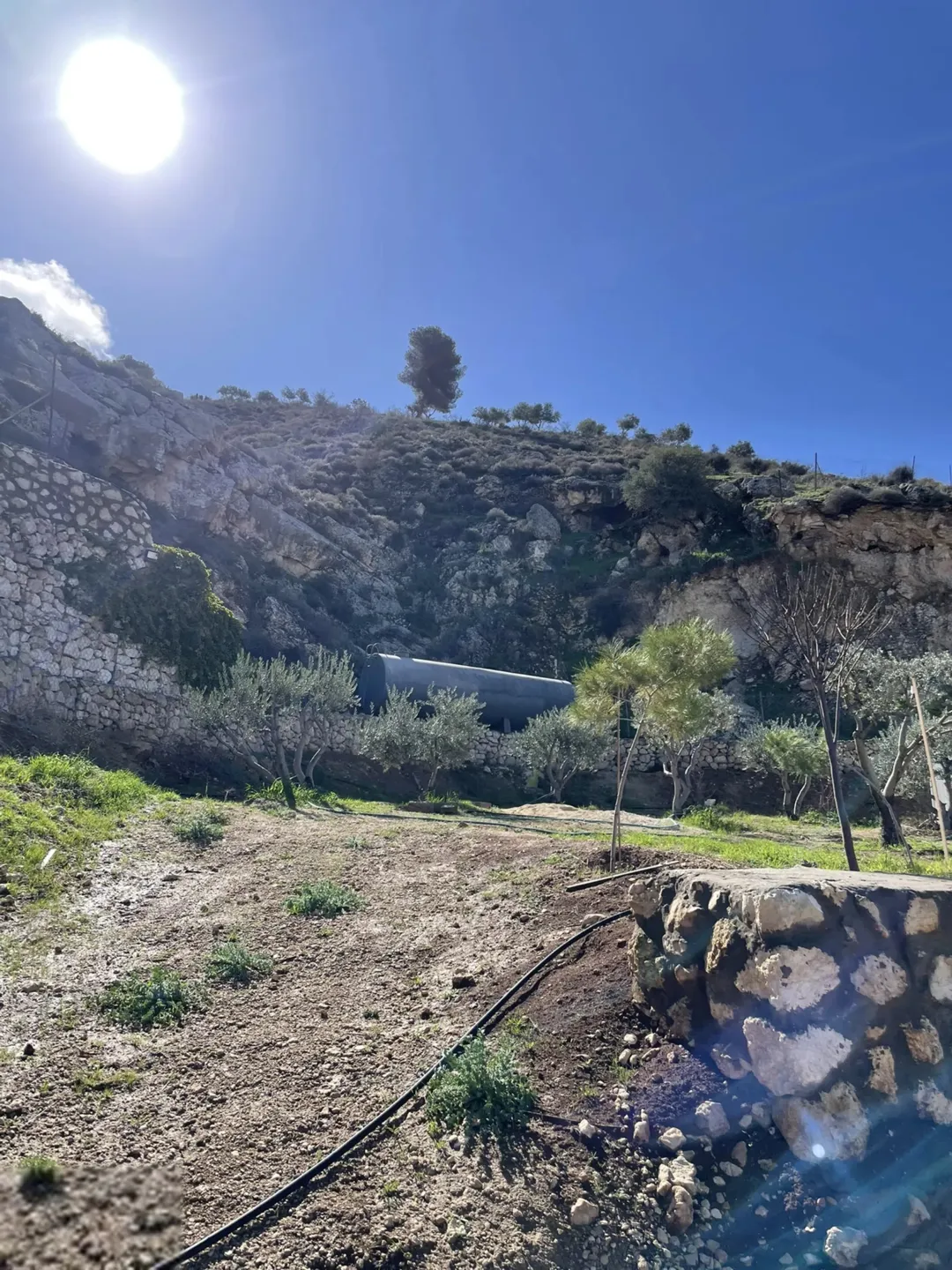 مزرعة 4 دونمات للبيع في مغاريب السلط بإطلالة على فلسطين