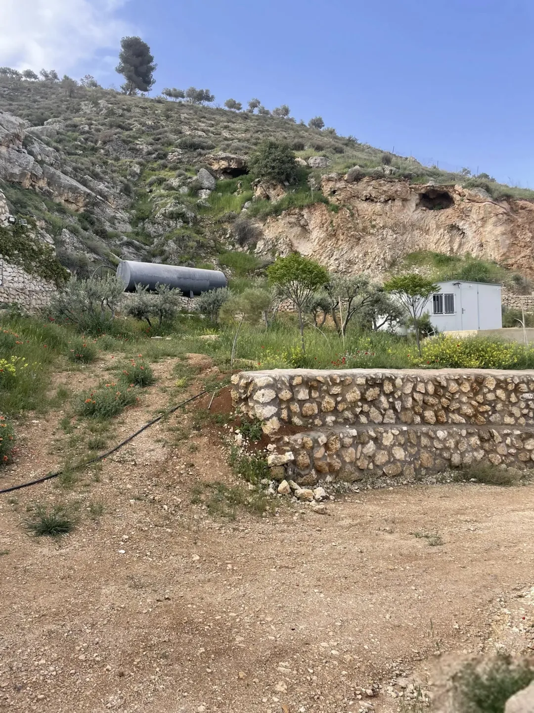 مزرعة 4 دونمات للبيع في مغاريب السلط بإطلالة على فلسطين