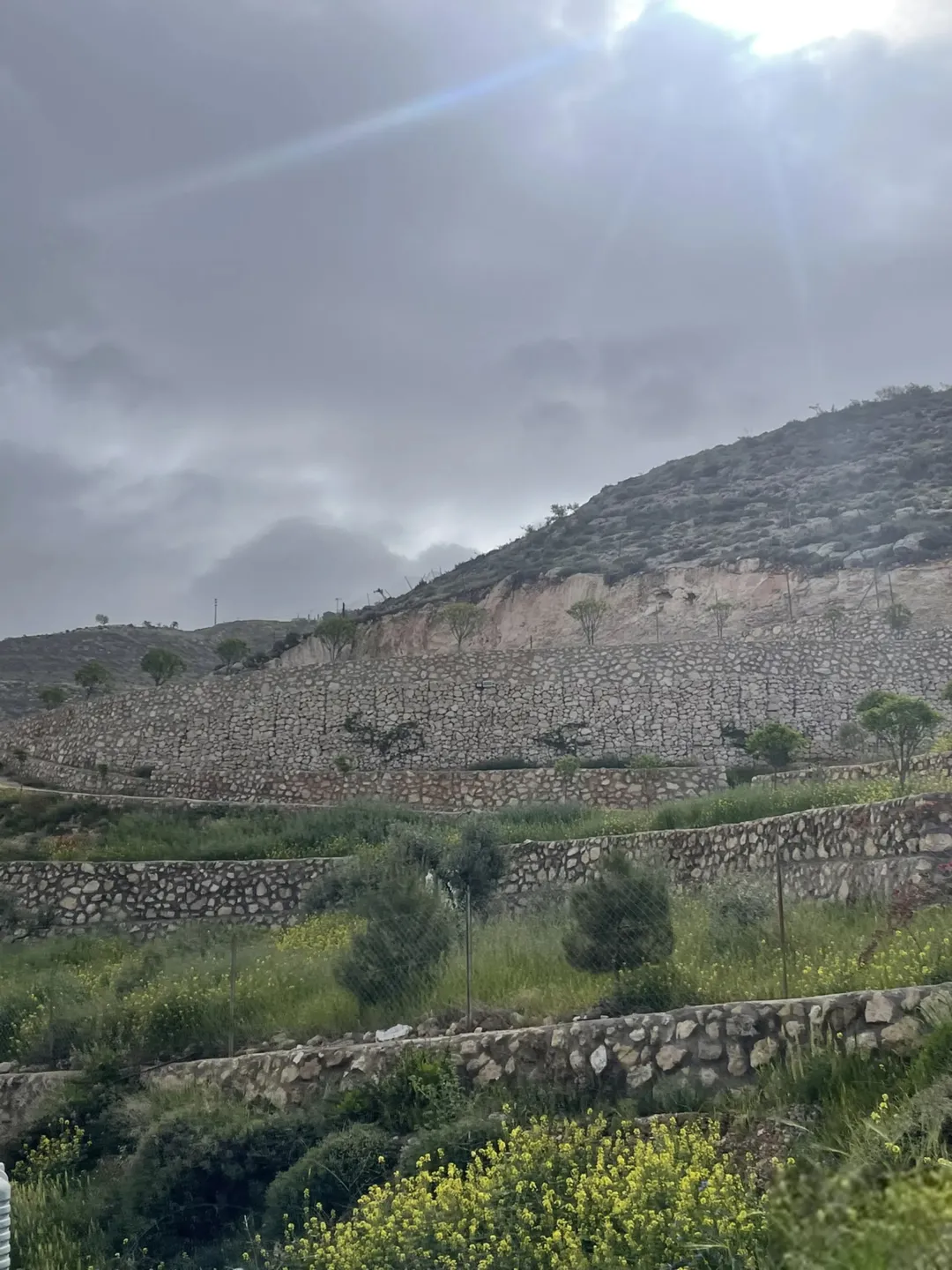 مزرعة 4 دونمات للبيع في مغاريب السلط بإطلالة على فلسطين