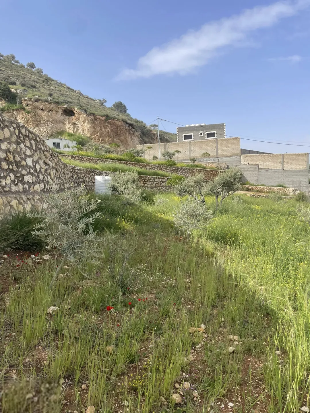 مزرعة 4 دونمات للبيع في مغاريب السلط بإطلالة على فلسطين