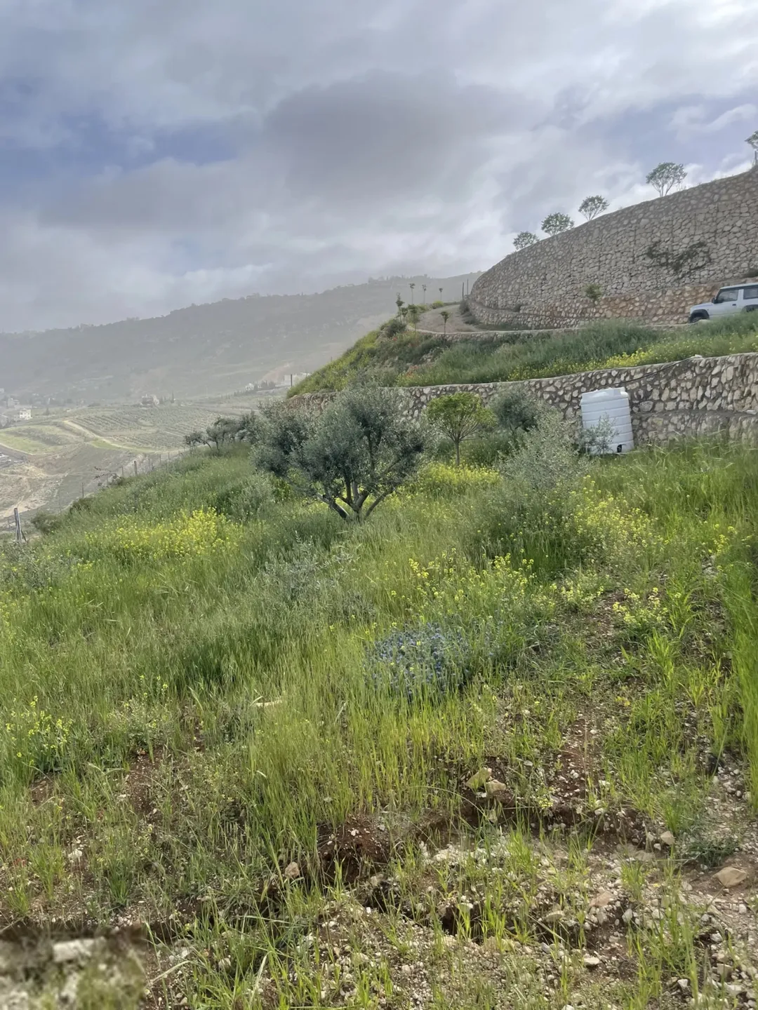 مزرعة 4 دونمات للبيع في مغاريب السلط بإطلالة على فلسطين