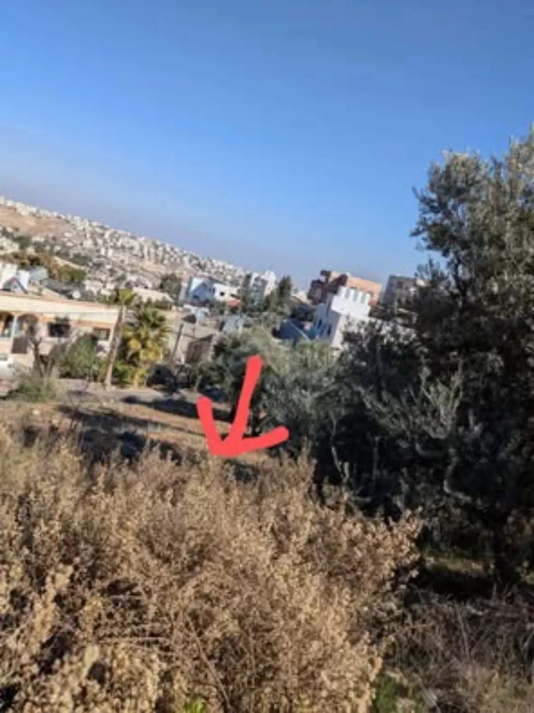 قطعة أرض في السلط سوادة موقع متميز في أعلى مناطق السلط