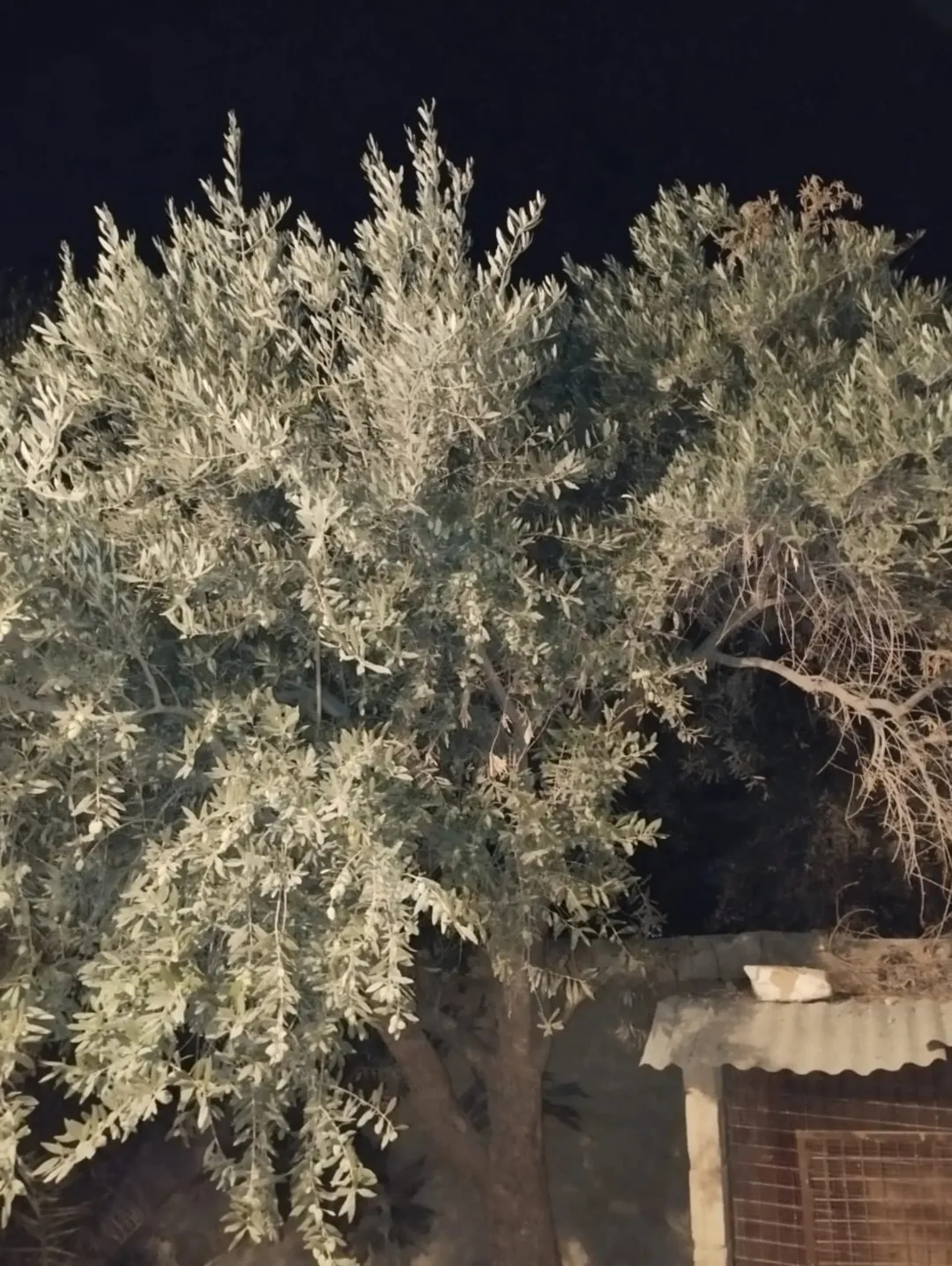 منزل في اسكان الهاشميه للبيع