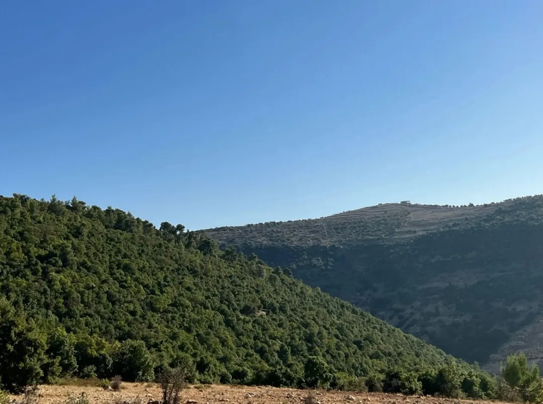 ارض مفروزه محاطة ب شاليهات و غابات — صورة 5