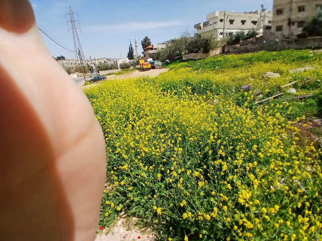 أرض سكنية مميزة للبيع في خربة السوق – جنوب عمان