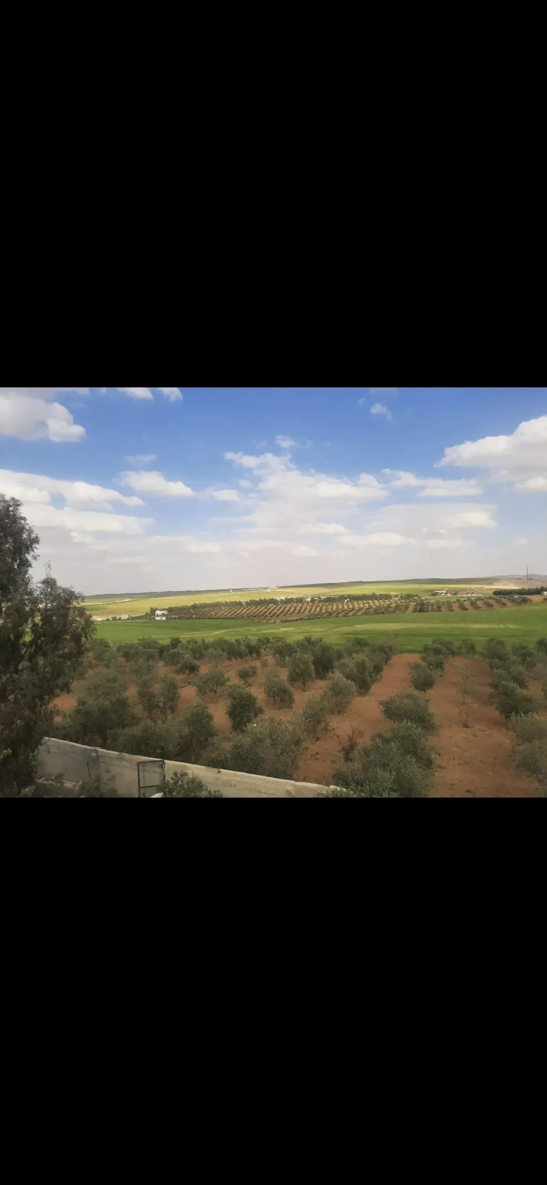 مزرعة مميزة للبيع في ذيبان