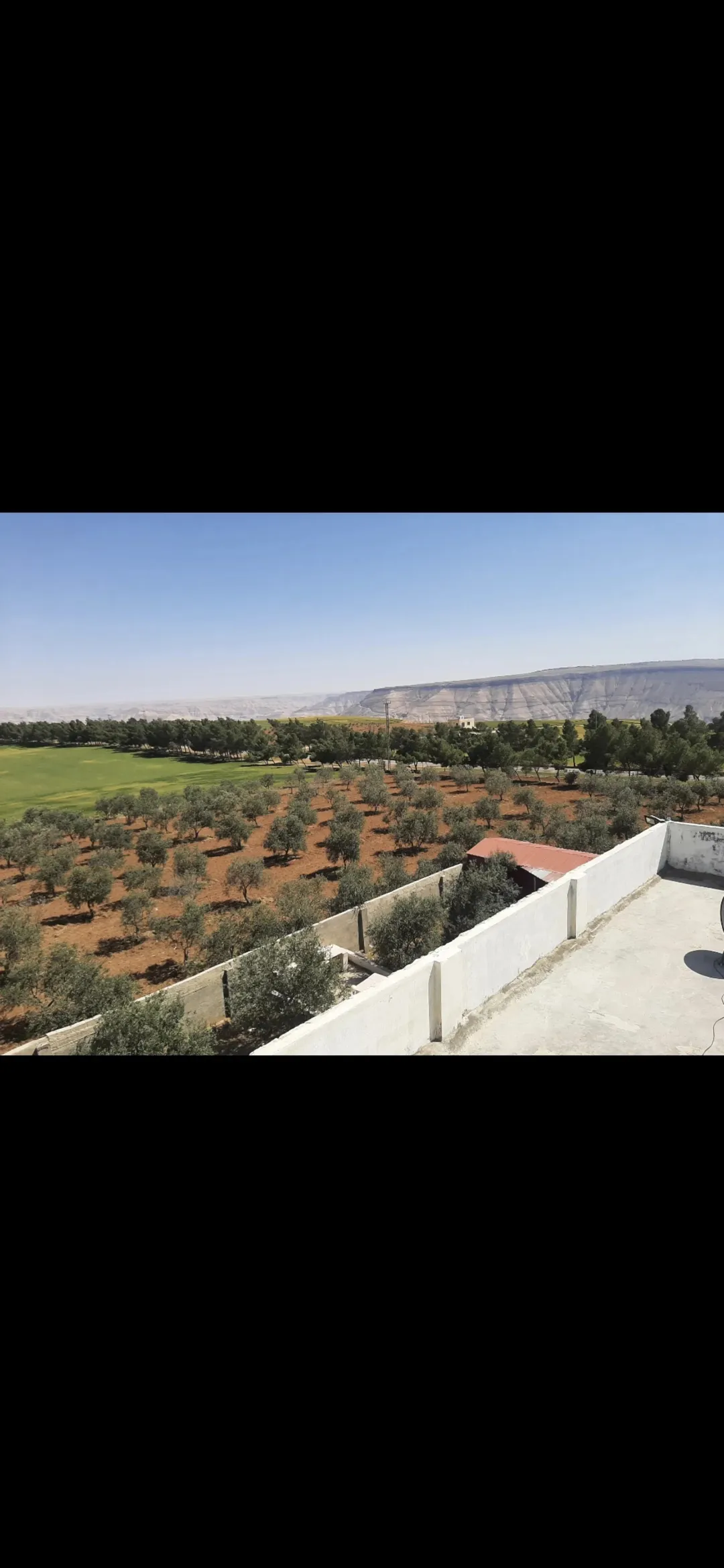 مزرعة مميزة للبيع في ذيبان