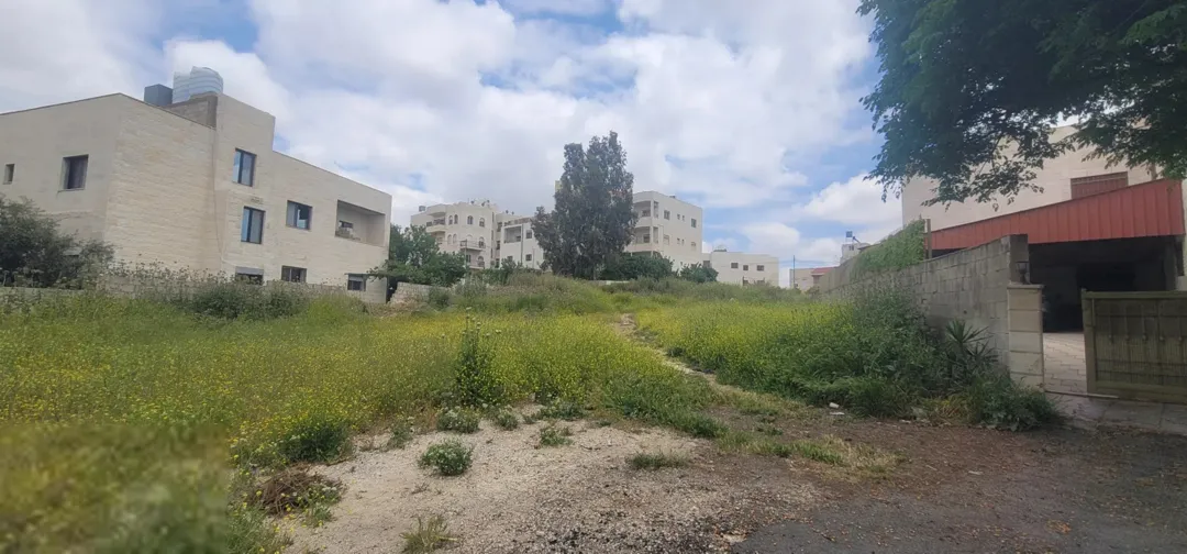 أرض سكنية مستوية للبيع في أبو السوس – عمان