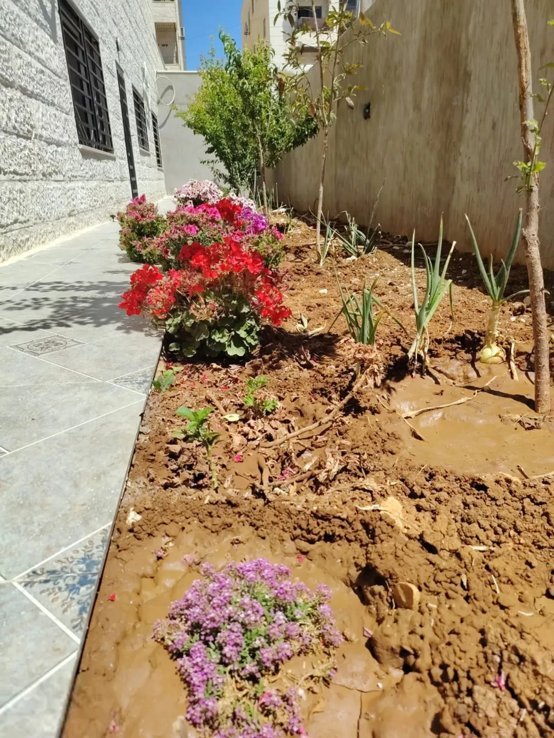 شقة شبه أرضية مميزة للبيع في البنيات – عمان