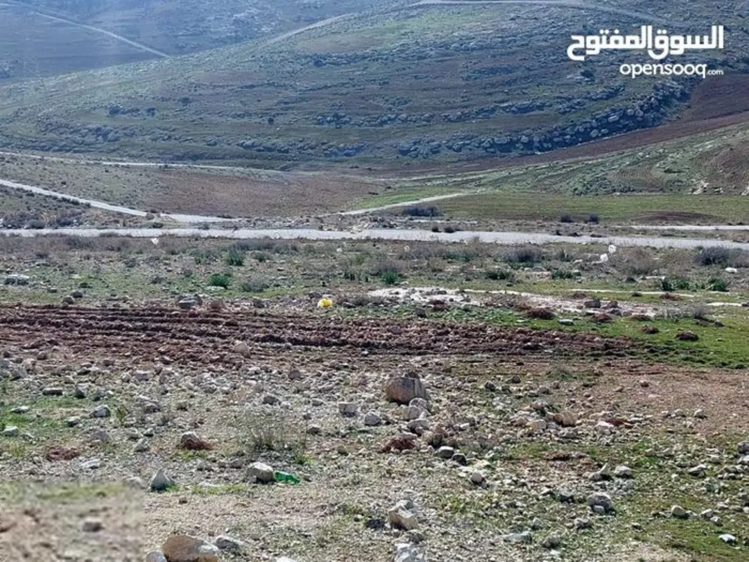 قطعة أرض سكنية مميزة في شفا بدران – زنات ربوع