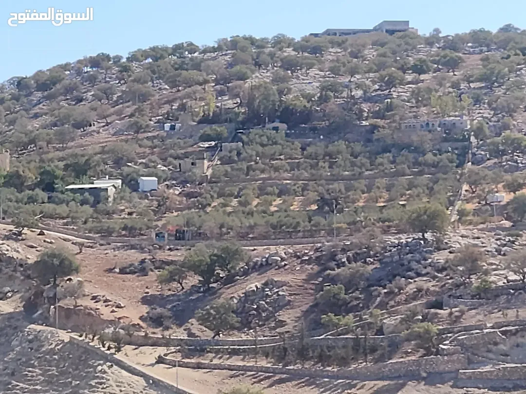 في قلب ماحص البقيع الغربي قطعة فريدة بجوار بدر الجديدة في حي الاميرات الرقيقة والكاشف مساحة 4050 متر مربع تطل على شارعين رئيسيين مثالية للمزرعة أو الاستثمار