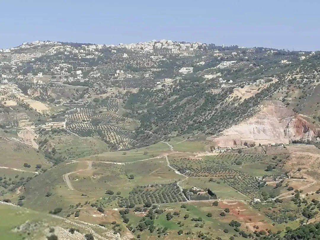 مزرعة للبيع بسعر مميز